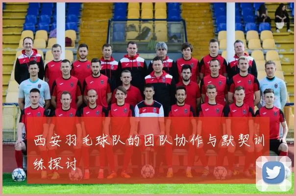 西安羽毛球队的团队协作与默契训练探讨