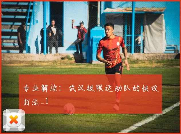 专业解读：武汉极限运动队的快攻打法_1