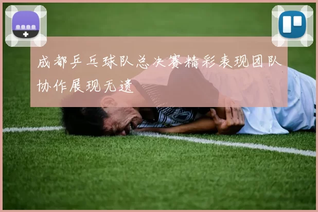 成都乒乓球队总决赛精彩表现团队协作展现无遗