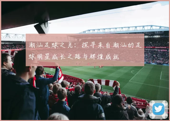 潮汕足球之光：探寻来自潮汕的足球明星成长之路与辉煌成就