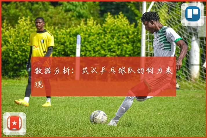 数据分析：武汉乒乓球队的耐力表现