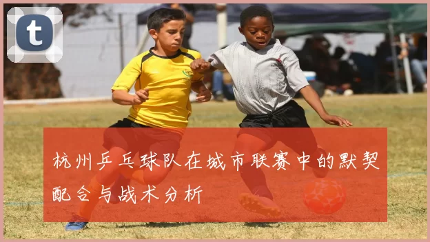 杭州乒乓球队在城市联赛中的默契配合与战术分析